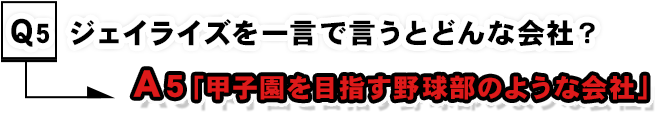 ジェイライズを一言いうと